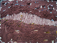 45.terra del Soratte su disegno 7-'91 cm.24x32